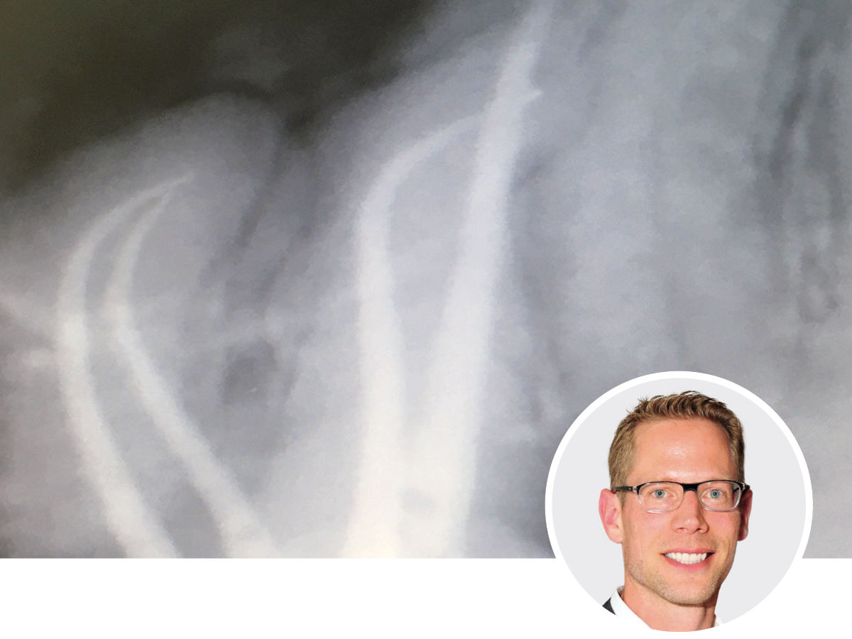 Moderne Endodontie: Einfach, effizient zu guten Ergebnissen | 24. - 25.04.2026 | München